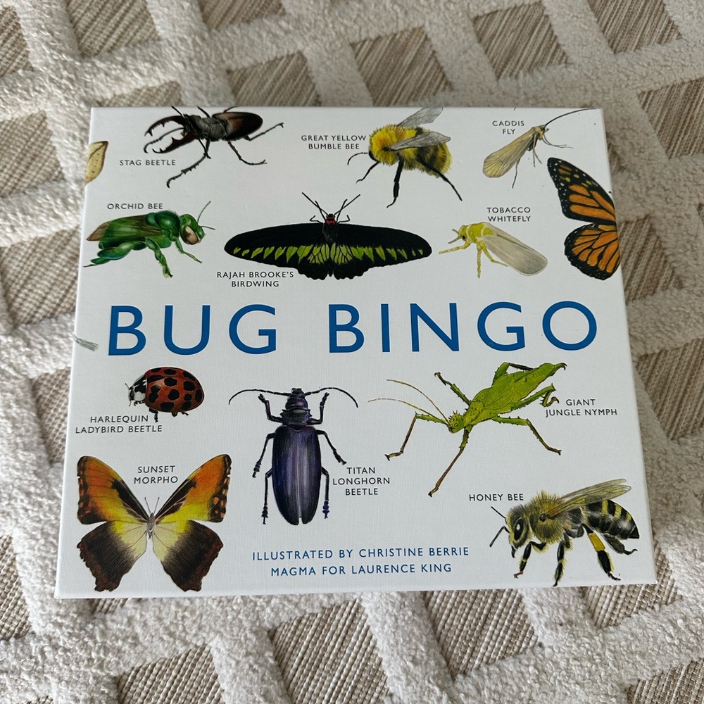 Bug Bingo Game